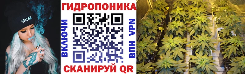 дарнет шоп  Кирсанов  omg ССЫЛКА  МАРИХУАНА ГИДРОПОН 